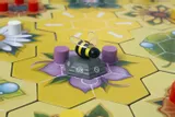 beez-edycja-polska-stan-nowy