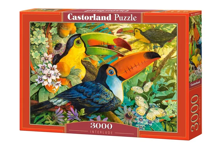 puzzle-3000-interlude-castorland