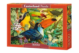 puzzle-3000-interlude-castorland