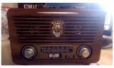 radio-przenosny-glosnik-bluteeoth