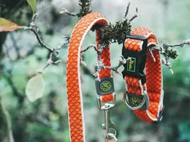 obroza-hunter-hilo-vario-basic-xl-pomaranczowa
