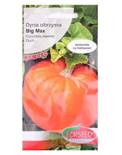nasiona-dynia-olb-big-max-3-g