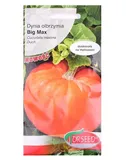 nasiona-dynia-olb-big-max-3-g