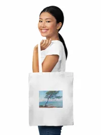 torba-sopper-aesthetic-claude-monet