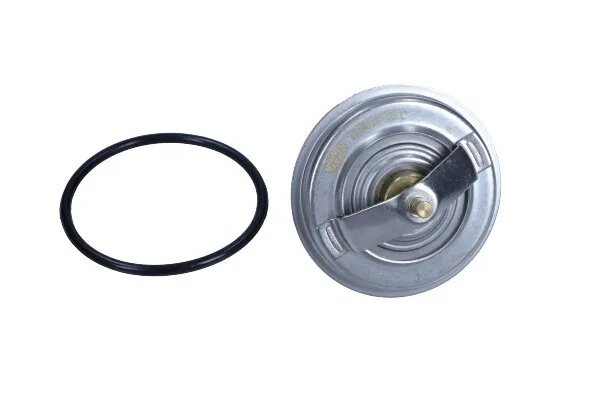 termostat-bmw-88c