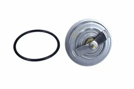 termostat-bmw-88c