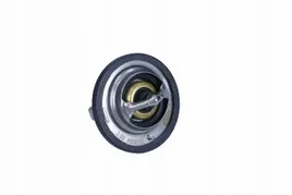 termostat-ford-88c