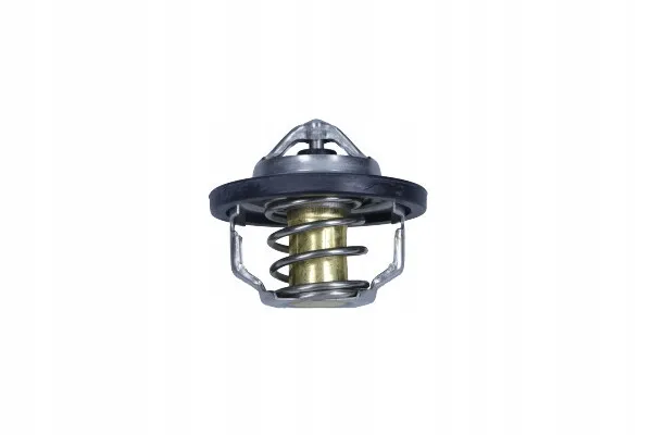 termostat-ford-88c