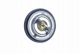 termostat-vw-87c