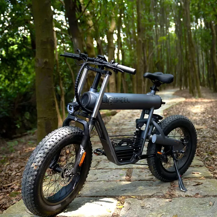 【Lee Moob】COSWHEEL Commuter Ebike - Coswheel