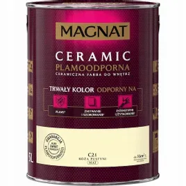 farba-magnat-ceramic-c21-25l