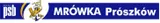 17209-cis-command-phs-white-medium-large-stan-nowy