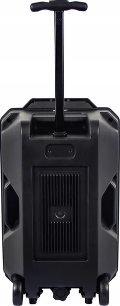 glosnik-bluetooth-mikrofon-karaoke-kod-producenta-111151110120
