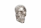 invicta-dekoracja-scienna-skull-srebrna