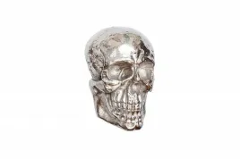 invicta-dekoracja-scienna-skull-srebrna