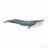 schleich-14806-pletwal-blekitny