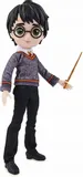 wizarding-world-6061836-harry-97671