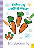 wilga-72015-na-straganie