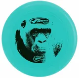 frisbee-53255-45570-cool-flyer