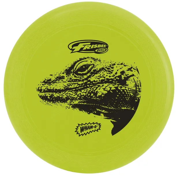 frisbee-53255-45570-cool-flyer