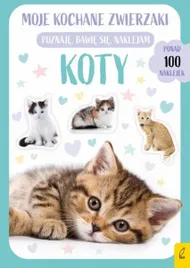 wilga-90675-koty