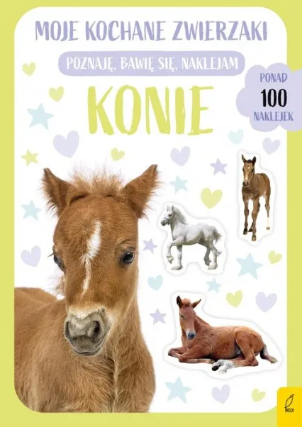 wilga-90699-konie