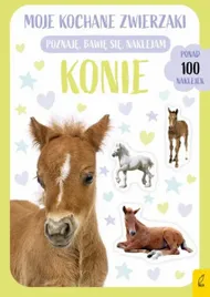 wilga-90699-konie