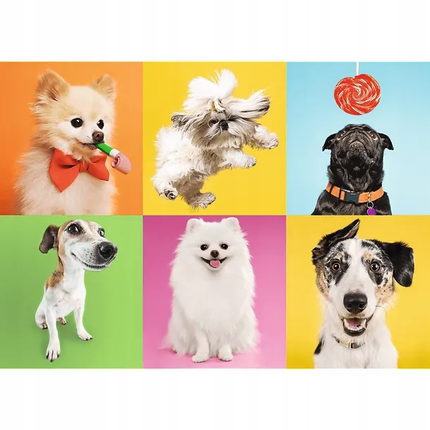 puzzle-trefl-500-37378-psy
