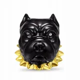 gnoce-charms-american-bully