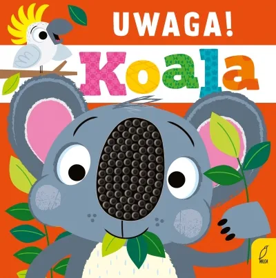 uwaga-koala