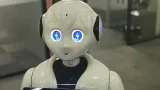 robot-recepcjonistka-alice