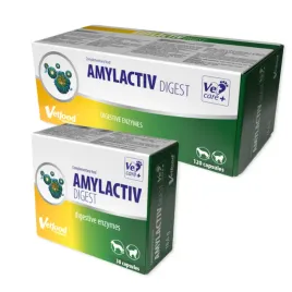 amylactiv-digest