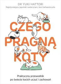 czego-pragna-koty
