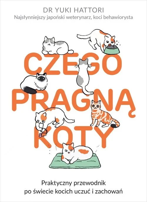 czego-pragna-koty