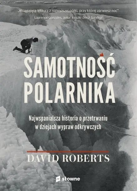 samotnosc-polarnika