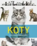 koty-ilustrowany-przewodnik