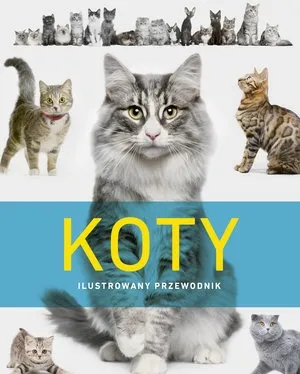koty-ilustrowany-przewodnik