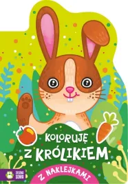 koloruje-z-krolikiem