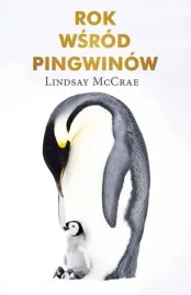 rok-wsrod-pingwinow