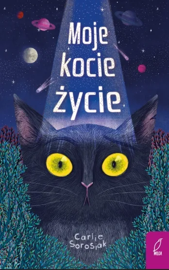 moje-kocie-zycie