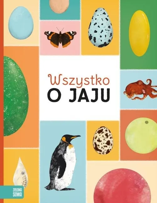 wszystko-o-jaju