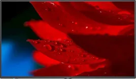 monitor-nec-55-60005056