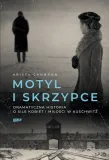 motyl-i-skrzypce