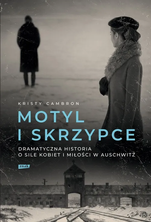 motyl-i-skrzypce