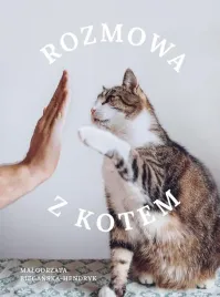 rozmowa-z-kotem