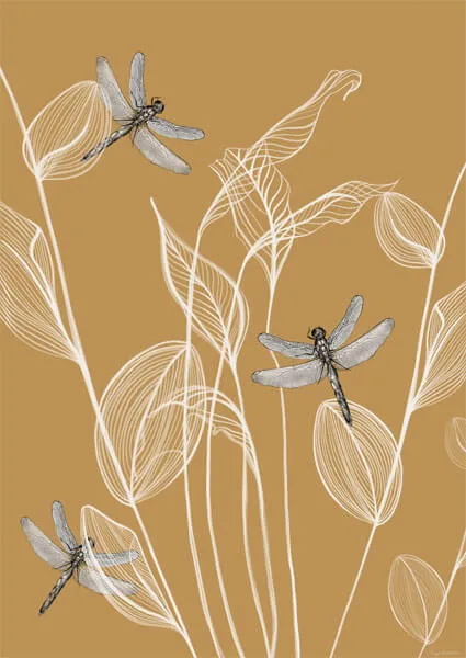 wazki-plakat-60x80-cm