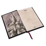 harry-potter-notes-premium-quidditch-hogwarts-stan-nowy