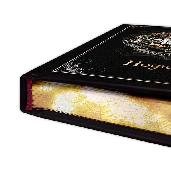 harry-potter-notes-premium-quidditch-hogwarts-stan-nowy