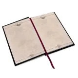 harry-potter-notes-premium-quidditch-hogwarts-stan-nowy