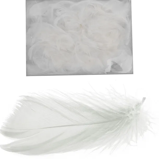 piorka-biale-w-boksie-pvc
